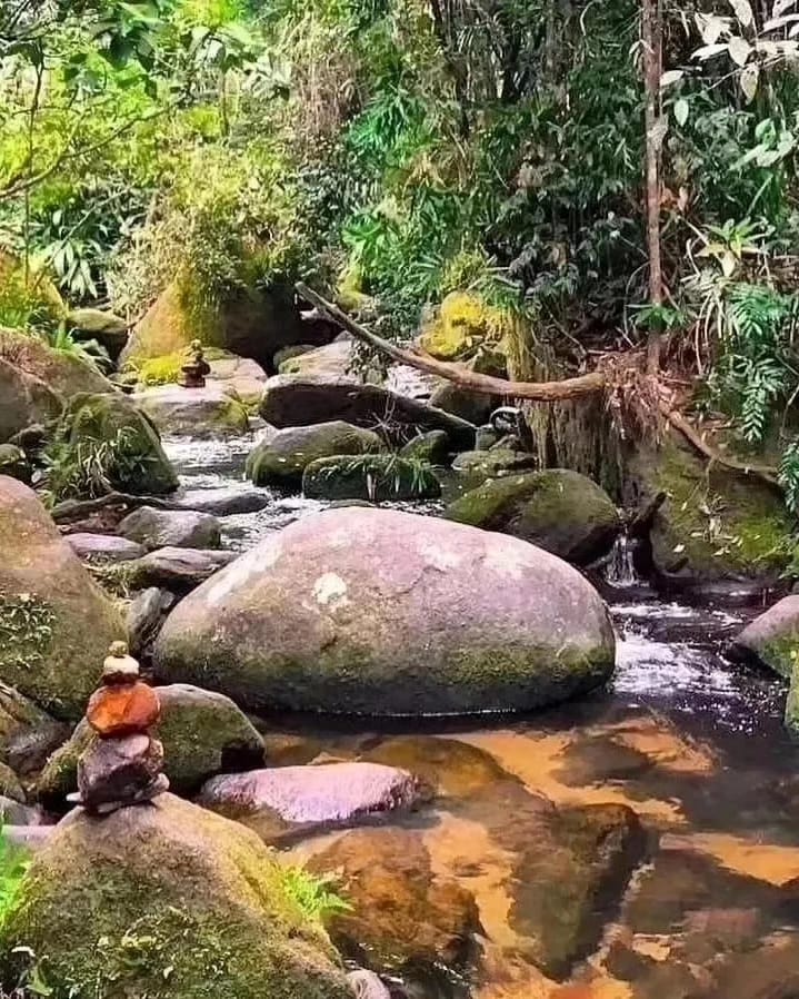 RÉVEILLON TRINDADE / PARATY RJ BATE E VOLTA 2025